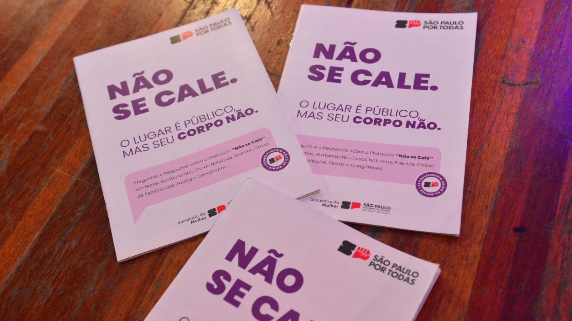 São Paulo por Todas: inscrições abertas para capacitação do Protocolo Não se Cale