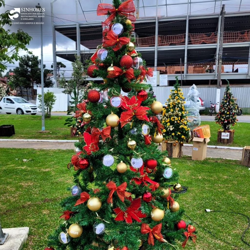 Natal em Campos do Jordão: SINHORES Marca Presença no Circuito das Árvores de Natal